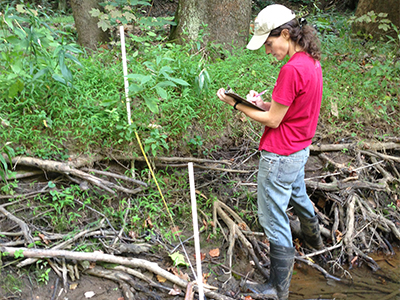 WPC staff survey riparian vegetation along Aunt Claras Fork as part of energy assessments. WPC staff survey riparian vegetation along Aunt Claras Fork as part of energy assessments.
